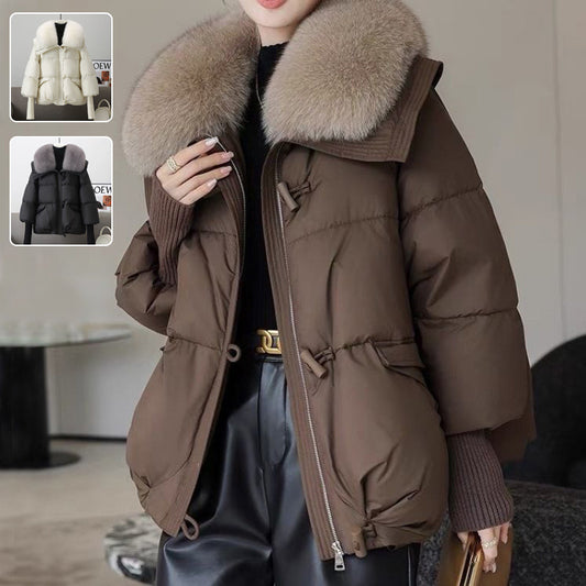 Fur Collar Down Cotton-padded Winter Jacket