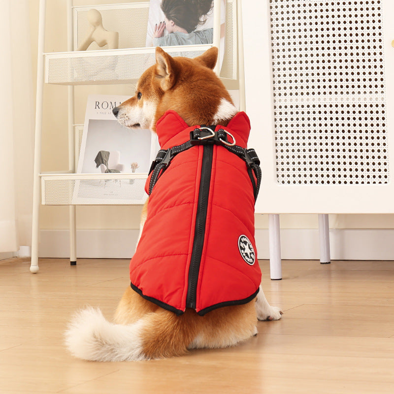 Warm Dog Cotton-padded jacket