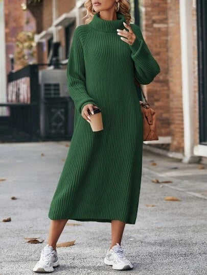 Winter Turtleneck Knitted Dress